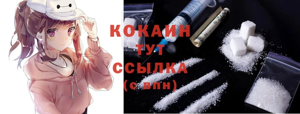 сатива Новокубанск