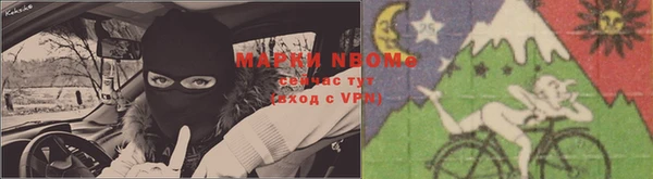 амф Новодвинск