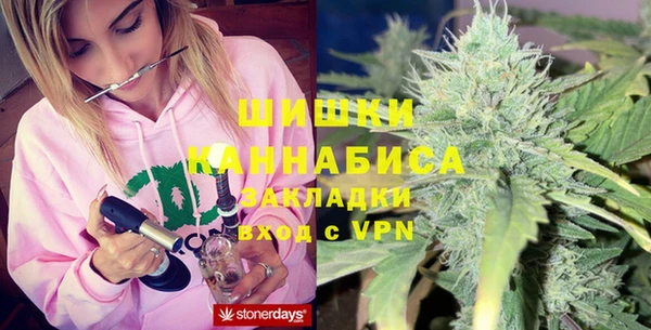 сатива Новокубанск