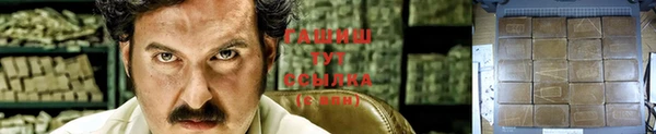 амф Новодвинск