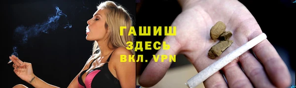 spice Новозыбков