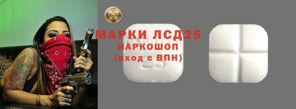 гашик Няндома