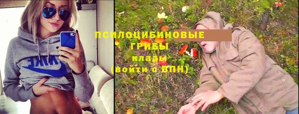 сатива Новокубанск