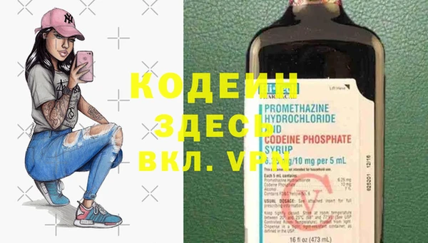 сатива Новокубанск