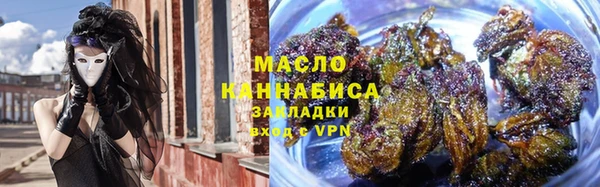сатива Новокубанск