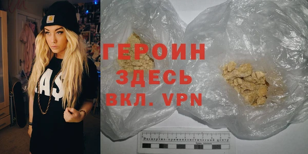 сатива Новокубанск