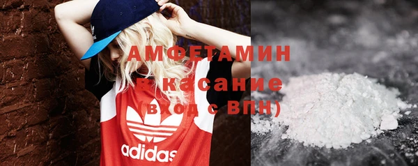 гашик Няндома
