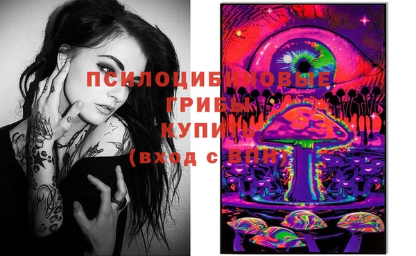 гашик Няндома