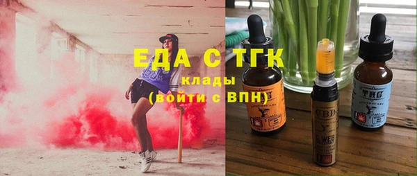 гашик Няндома