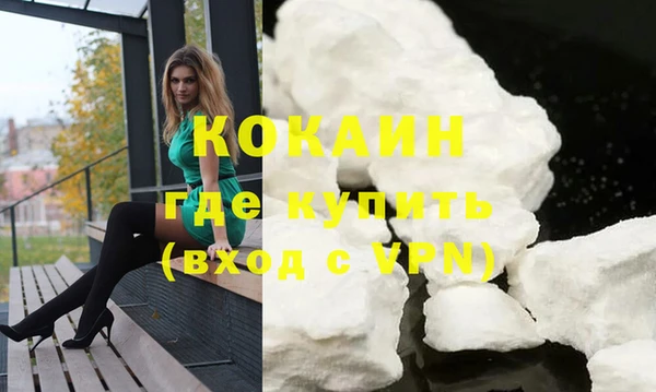 сатива Новокубанск