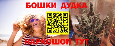 трава Будённовск