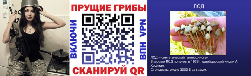 где купить наркоту  Уварово  Галлюциногенные грибы мицелий 