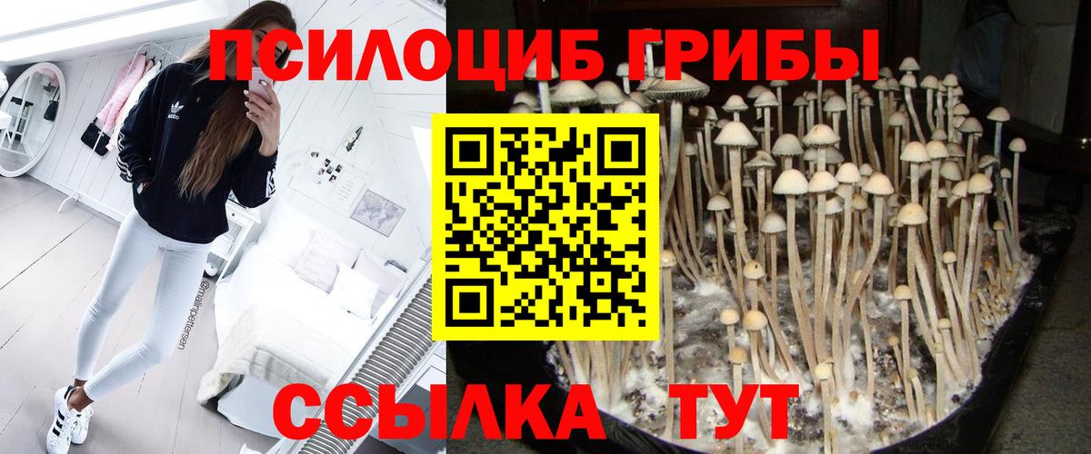 Галлюциногенные грибы MAGIC MUSHROOMS  Уварово 