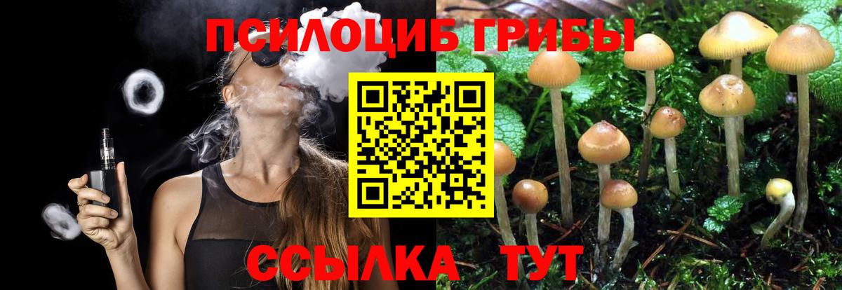 Псилоцибиновые грибы Psilocybe Уварово